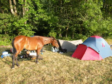 Rando Cheval en Savoie FRANCE - Voyage à cheval