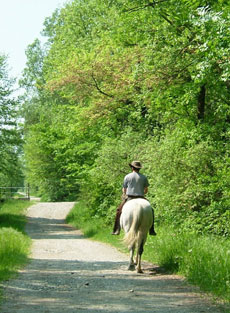 Randonnee en Savoie au pied des montagnes - Randocheval