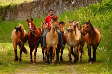 Rando Cheval en Savoie FRANCE - Voyage à cheval