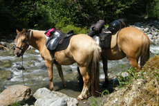 Rando Cheval en Savoie FRANCE - Voyage à cheval