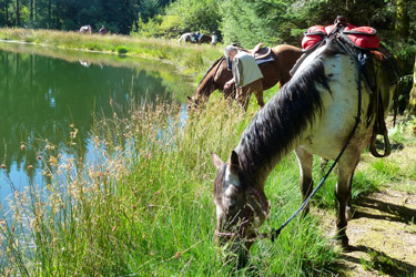 Rando Cheval - Voyage à cheval