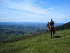 Randonnée à cheval en Corrèze, PNR de Millevaches - RANDOCHEVAL