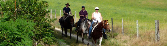 Randonnée à cheval en Corrèze, PNR de Millevaches - RANDOCHEVAL