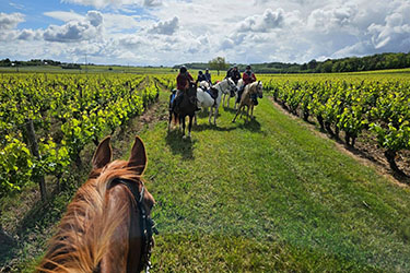 randonn&eacute;e &agrave; cheval en touraine- France - randocheval/absoluvoyages