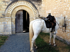 randonnée à cheval en touraine