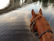 randonnée à cheval en touraine- France - randocheval/absoluvoyages