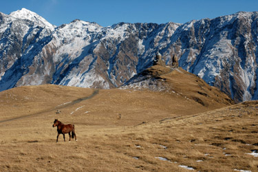 Rando Cheval - Voyage à cheval