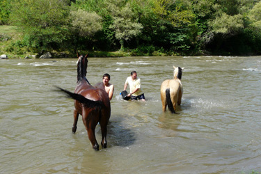 Rando Cheval - Voyage à cheval