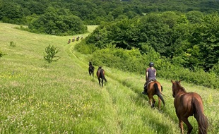 Randonnée équestre en Croatie / randocheval - Absolu voyages