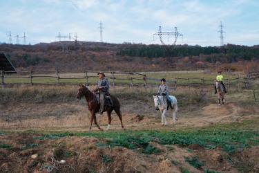Rando Cheval - Voyage à cheval