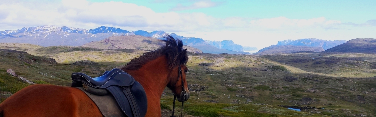 Voyage à cheval - Randonnée équestre organisée par Randocheval