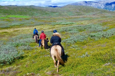 Rando Cheval - Voyage à cheval