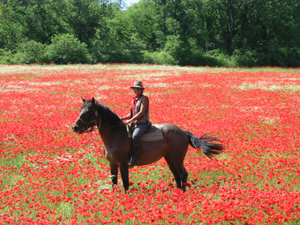 Randonnée en Haute Provence - RANDOCHEVAL