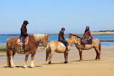 Voyage à cheval - Randonnée équestre en Croatie avec Randocheval