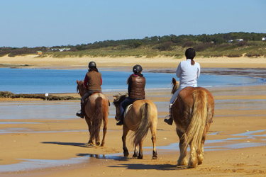 Voyage à cheval - Randonnée équestre en Croatie avec Randocheval