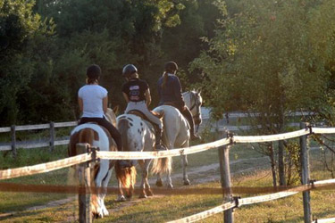 Voyage à cheval - Randonnée équestre en Croatie avec Randocheval