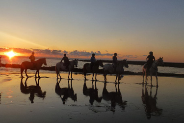 Voyage à cheval - Randonnée équestre en Croatie avec Randocheval