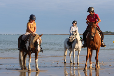 Voyage à cheval - Randonnée équestre en Croatie avec Randocheval
