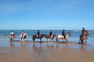 Voyage à cheval - Randonnée équestre en Croatie avec Randocheval