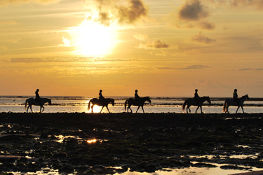 Voyage à cheval - Randonnée équestre en Croatie avec Randocheval