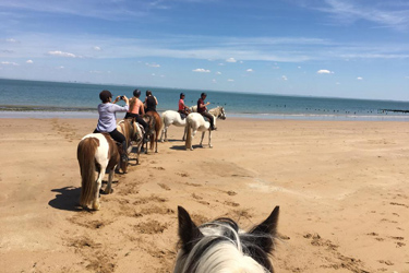 Voyage à cheval - Randonnée équestre en Croatie avec Randocheval