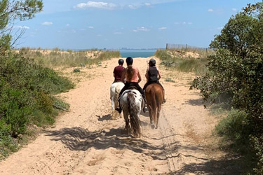 Voyage à cheval - Randonnée équestre en Croatie avec Randocheval