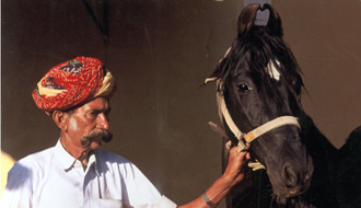 Foire de Pushkar, Inde - RANDOCHEVAL