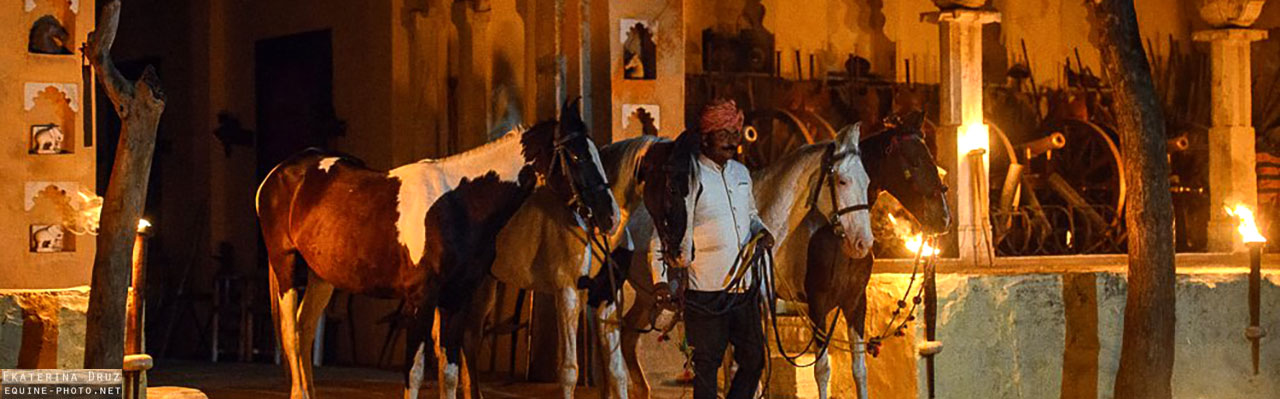 Voyage à cheval en Inde - Randonnée équestre organisée par Randocheval