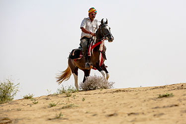 Voyage à cheval en Inde - Randonnée équestre organisée par Randocheval