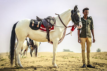 Voyage à cheval en Inde - Randonnée équestre organisée par Randocheval