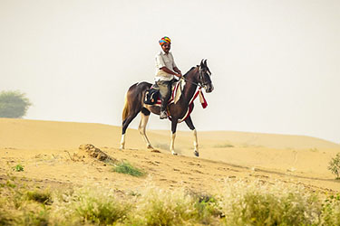 Voyage à cheval en Inde - Randonnée équestre organisée par Randocheval