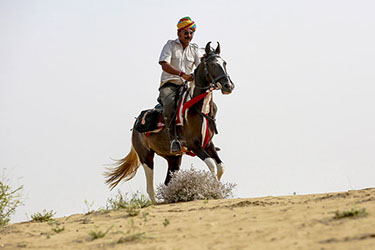 Voyage à cheval en Inde - Randonnée équestre organisée par Randocheval