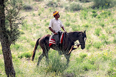 Voyage à cheval en Inde - Randonnée équestre organisée par Randocheval