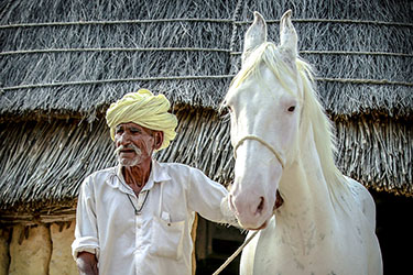 Voyage à cheval en Inde - Randonnée équestre organisée par Randocheval