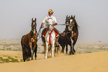 Voyage à cheval en Inde - Randonnée équestre organisée par Randocheval