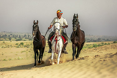 Voyage à cheval en Inde - Randonnée équestre organisée par Randocheval