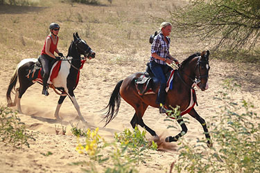 Voyage à cheval en Inde - Randonnée équestre organisée par Randocheval