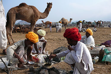 Voyage à cheval en Inde - Randonnée équestre organisée par Randocheval