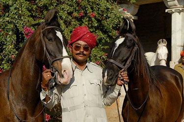 Voyage à cheval en Inde - Randonnée équestre organisée par Randocheval