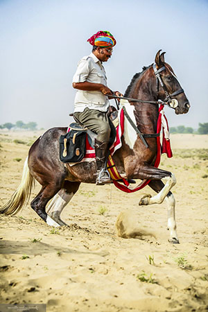 Voyage à cheval en Inde - Randonnée équestre organisée par Randocheval