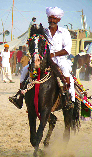 Voyage à cheval en Inde - Randonnée équestre organisée par Randocheval