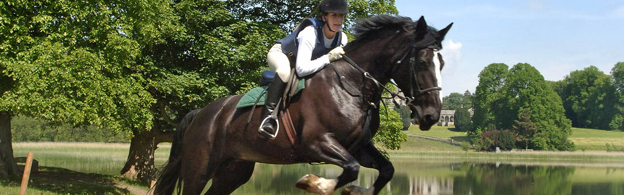 Stage CSO cross obstacle équitation