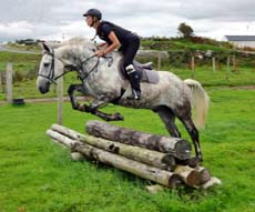 RANDOCHEVAL - randonnée équestre en Irlande, stage linguistique à Donegal - RANDOCHEVAL