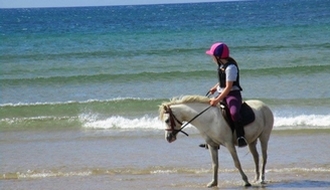 Stage linguistique en Irlande pour ados avec cours d'anglais et d'équitation - Par Rando Cheval