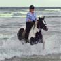 safari a cheval au botswana