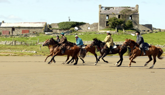 Stages linguistiques et séjours combinant cours de langue et équitation