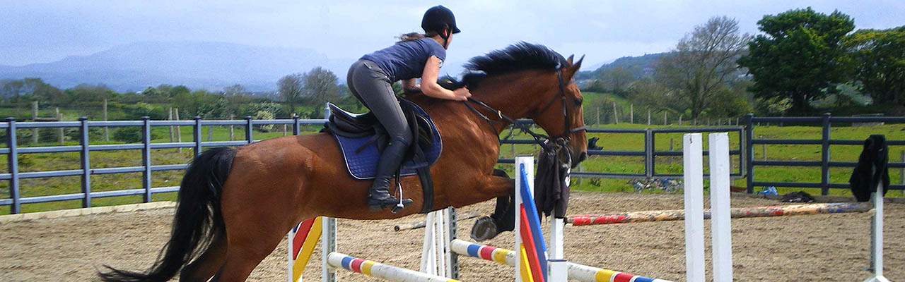 Stage CSO cross obstacle équitation