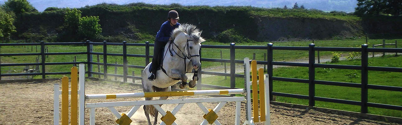 Stage CSO cross obstacle équitation