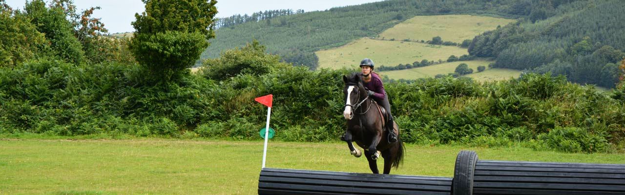 Stage CSO cross obstacle équitation