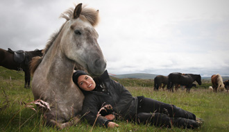 RANDOCHEVAL: chevaux Islandais
